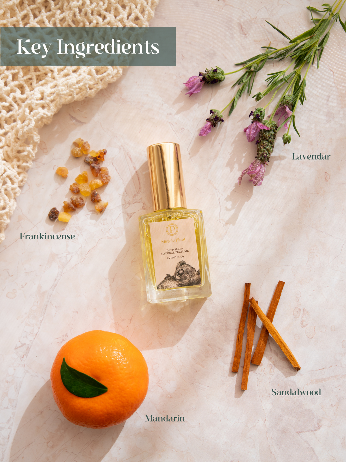 Awards Celebration Duo (For Her 30ml + For Every Body 30ml)