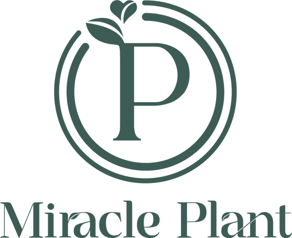 Miracle Plant (Australia)