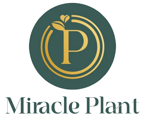 Miracle Plant (Australia)