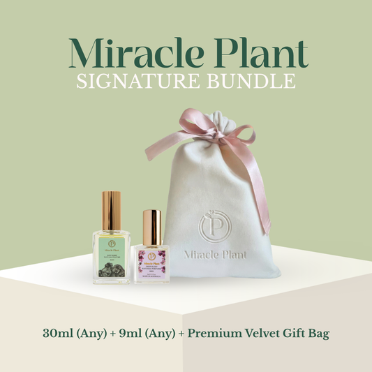 Miracle Plant Signature Bundle - $99 Free Shipping Set